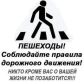 В Томском районе подведены итоги профилактического мероприятия «Пешеход, пешеходный переход»