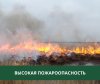 В Томском районе ожидается высокая пожароопасность